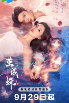 Long Planned Love (2025)