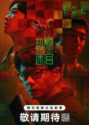 Supersensory Maze (2025)